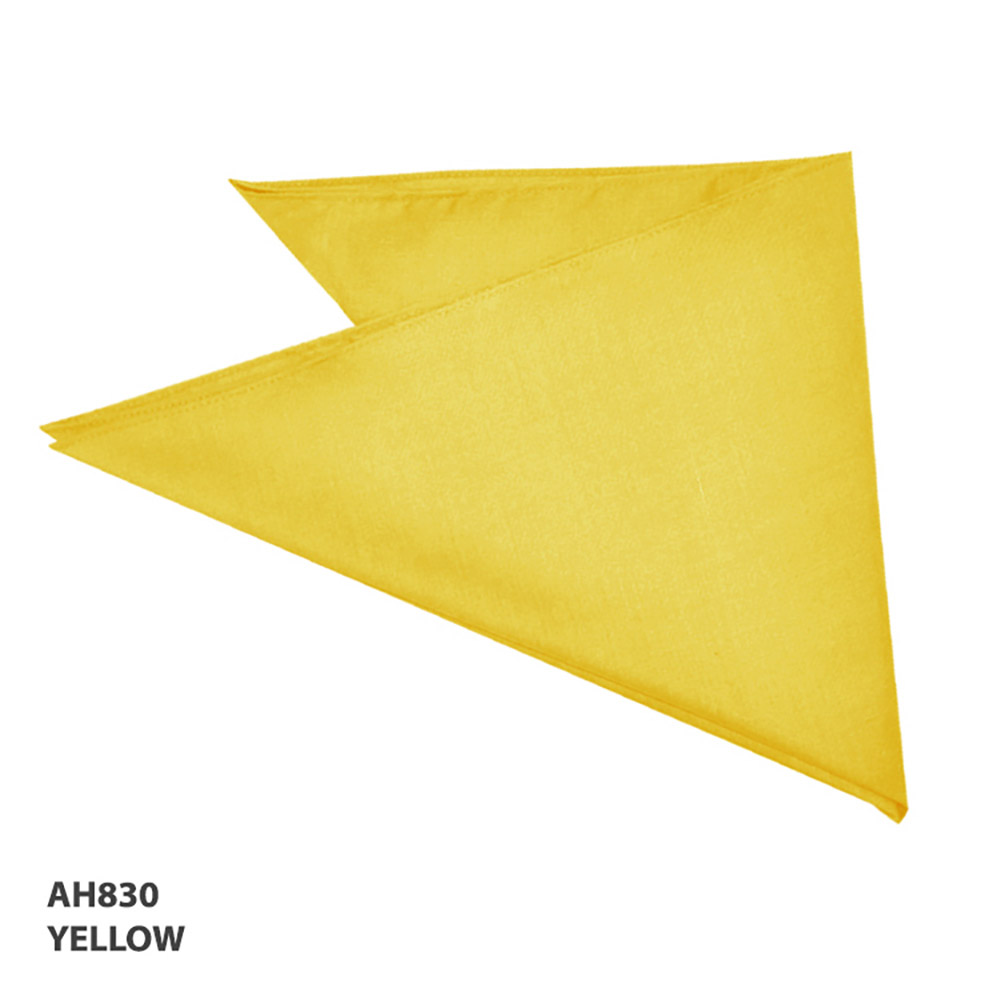 B001 Bandanna - Image 6
